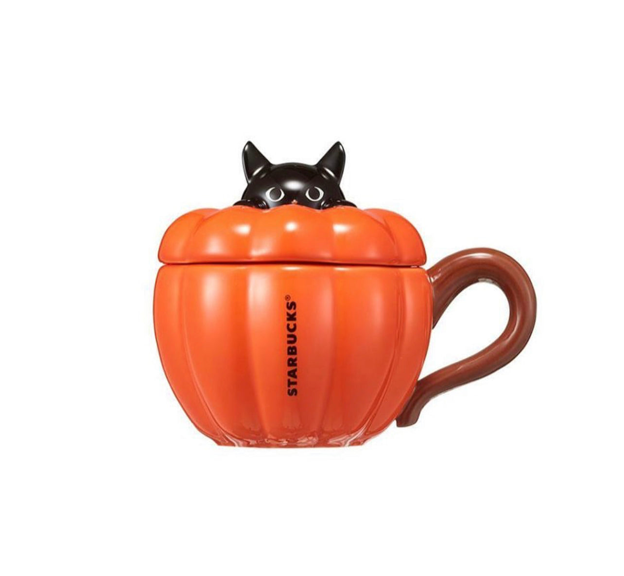 Pumpkin Cat Mug Ceramic - Korea